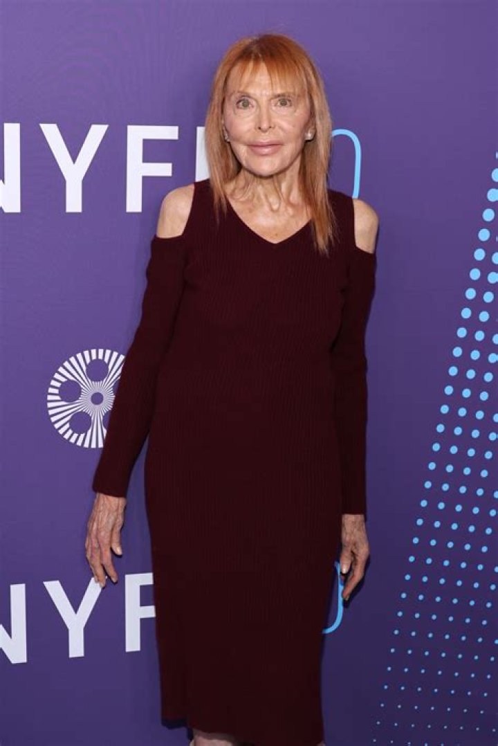 Barbara Hershey Biography, Age, Dating history, Movies and Net Worth