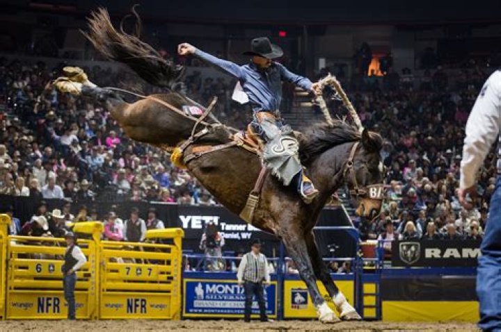 NFR Rodeo: Stetson Wright Wife -Is He Mormon? Everything To Know